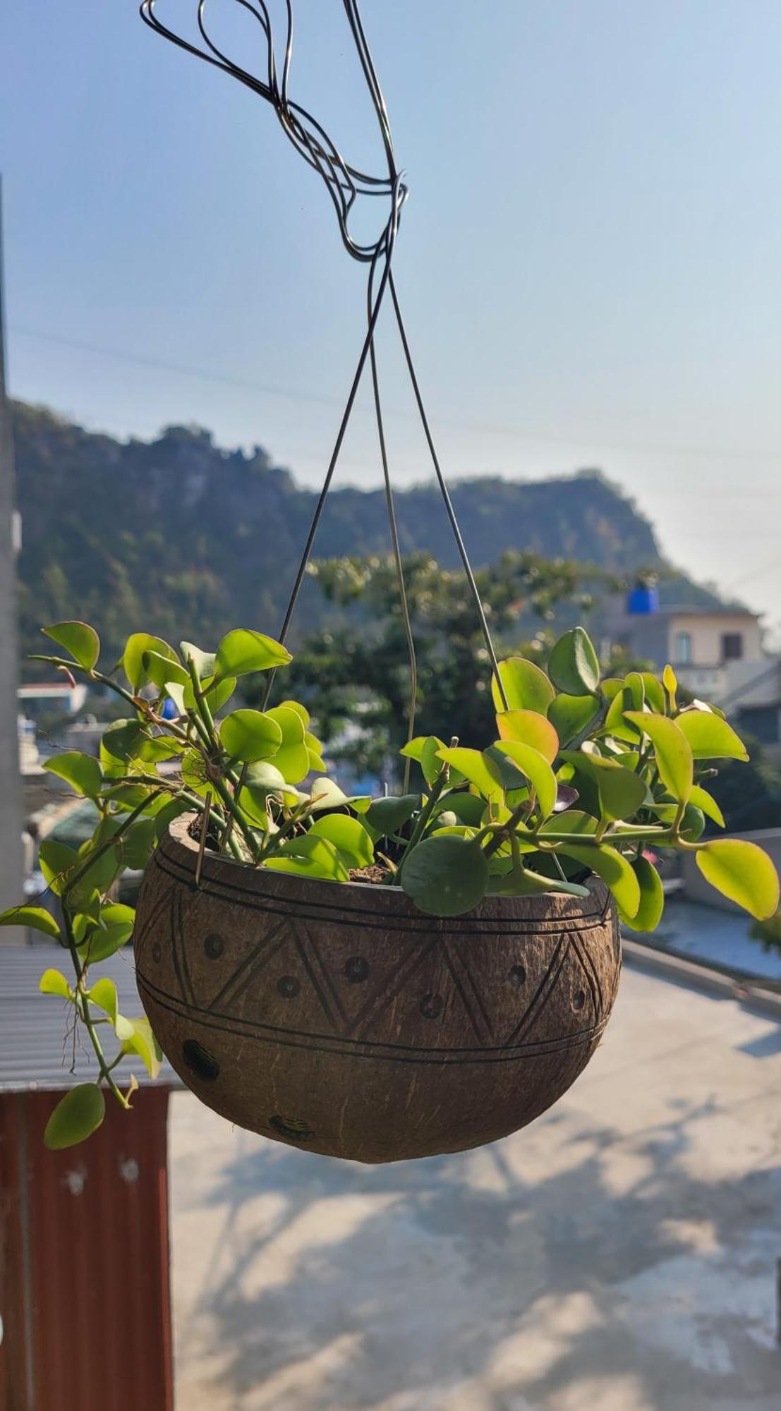 Tiny Garden House Cat Ba Hotel Chan Chau Eksteriør billede